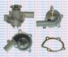 AQUAPLUS 85-1310 Water Pump